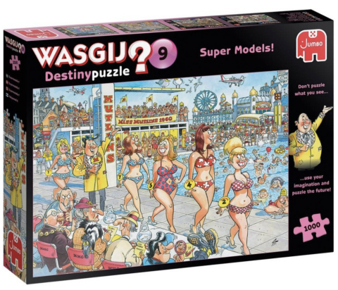 Wasgij Destiny 9 - 1000 brikker